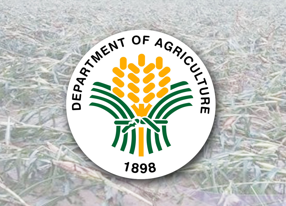 Department of Agriculture-1