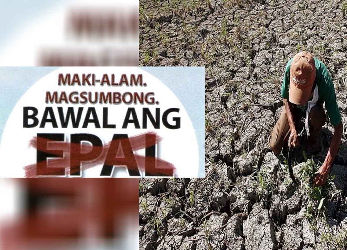epal12