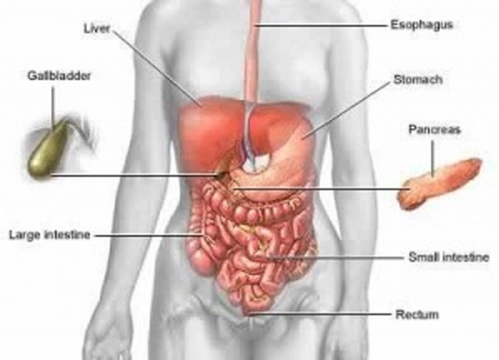 Acute Gastroenteritis