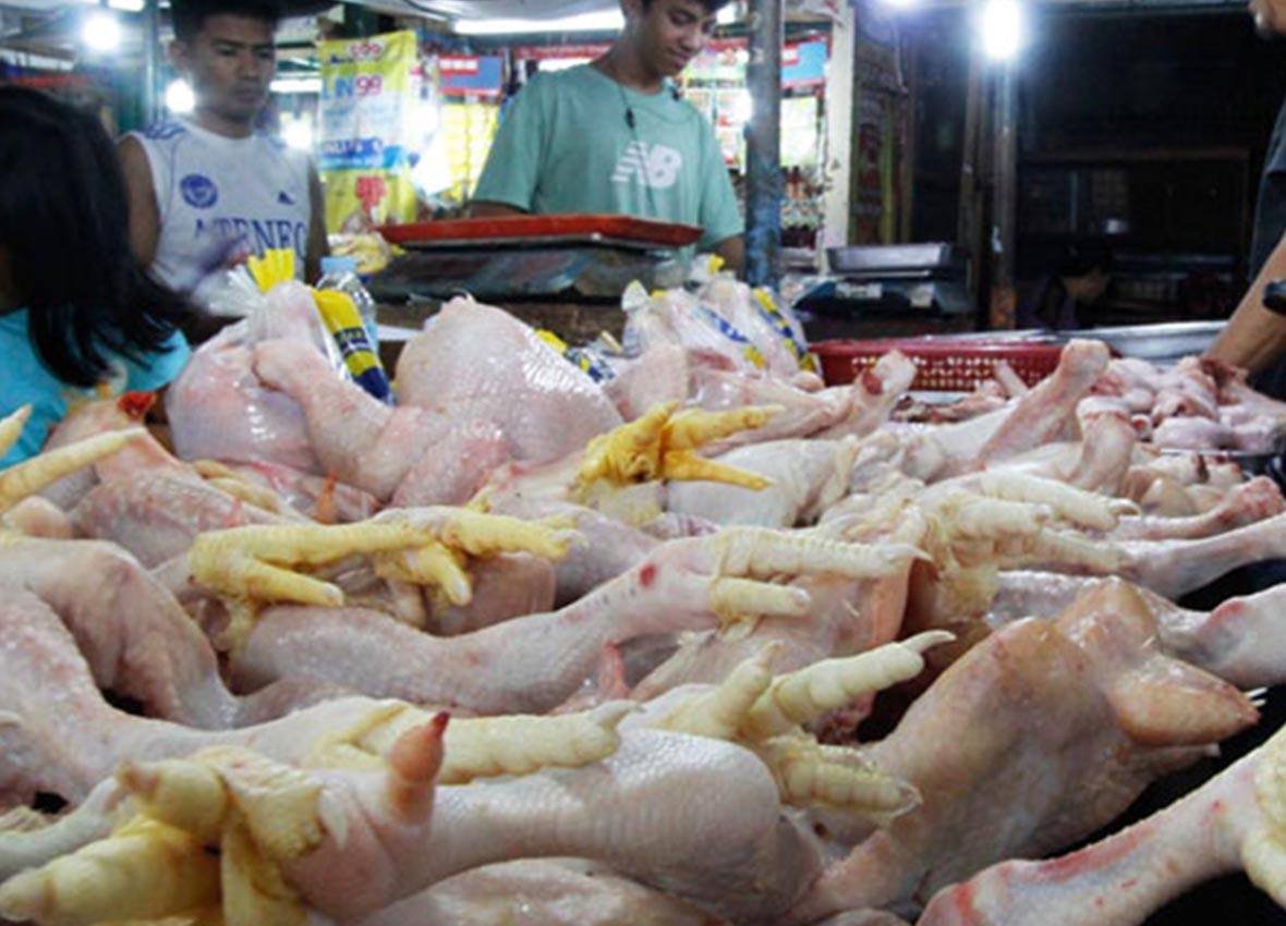 MANOK-9