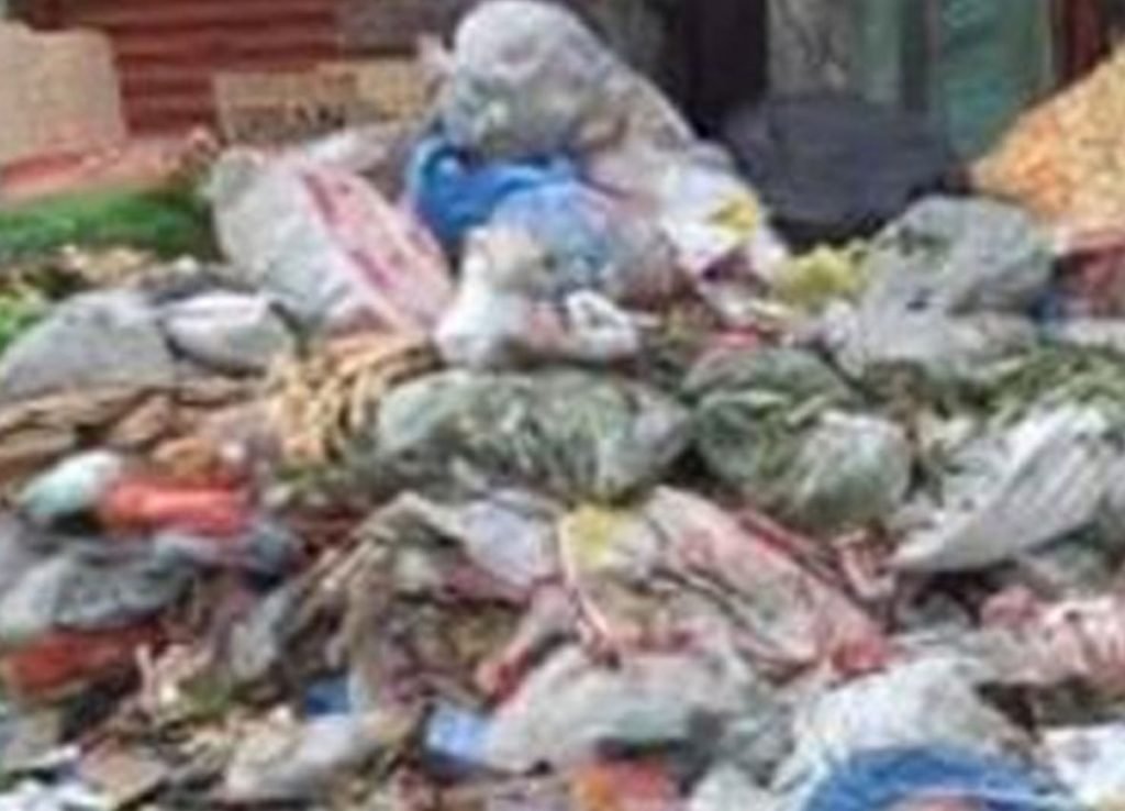 BASURA-8